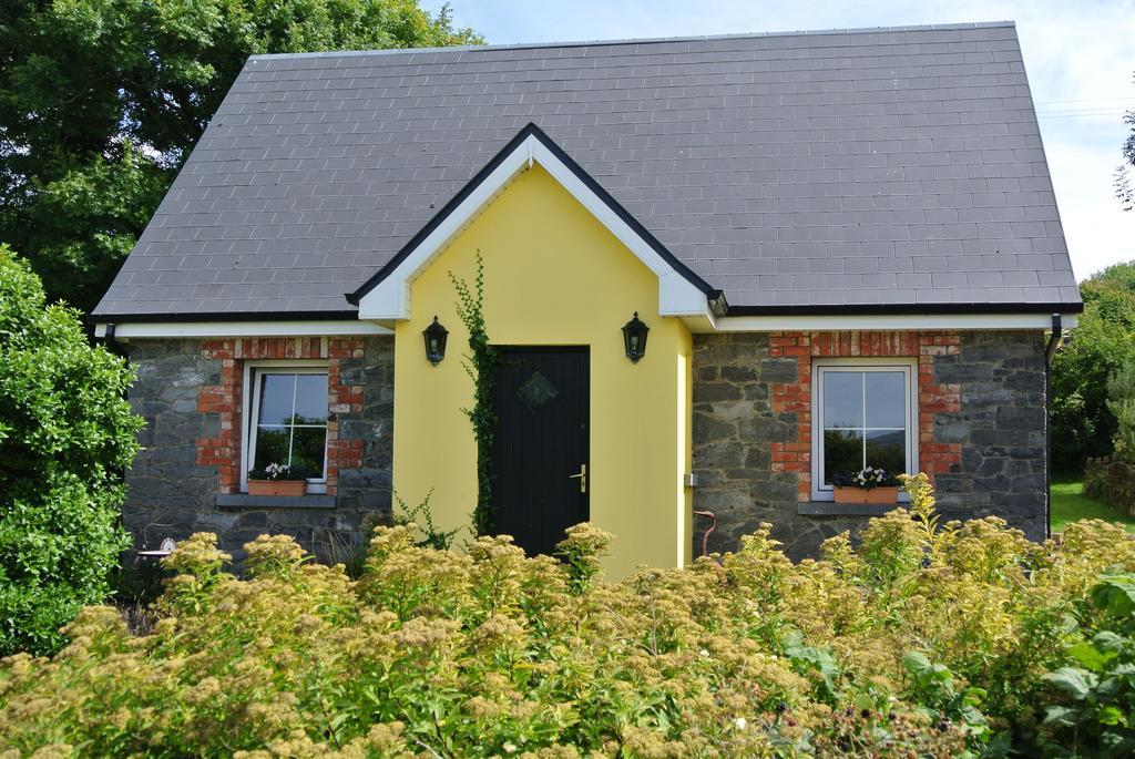 Drumcreehy Country House B&B バリーボーン エクステリア 写真